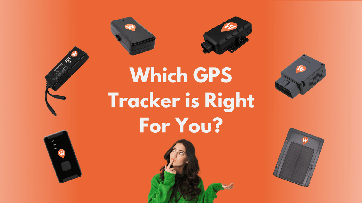 Which GPS Tracker is right for you? WhereSafe