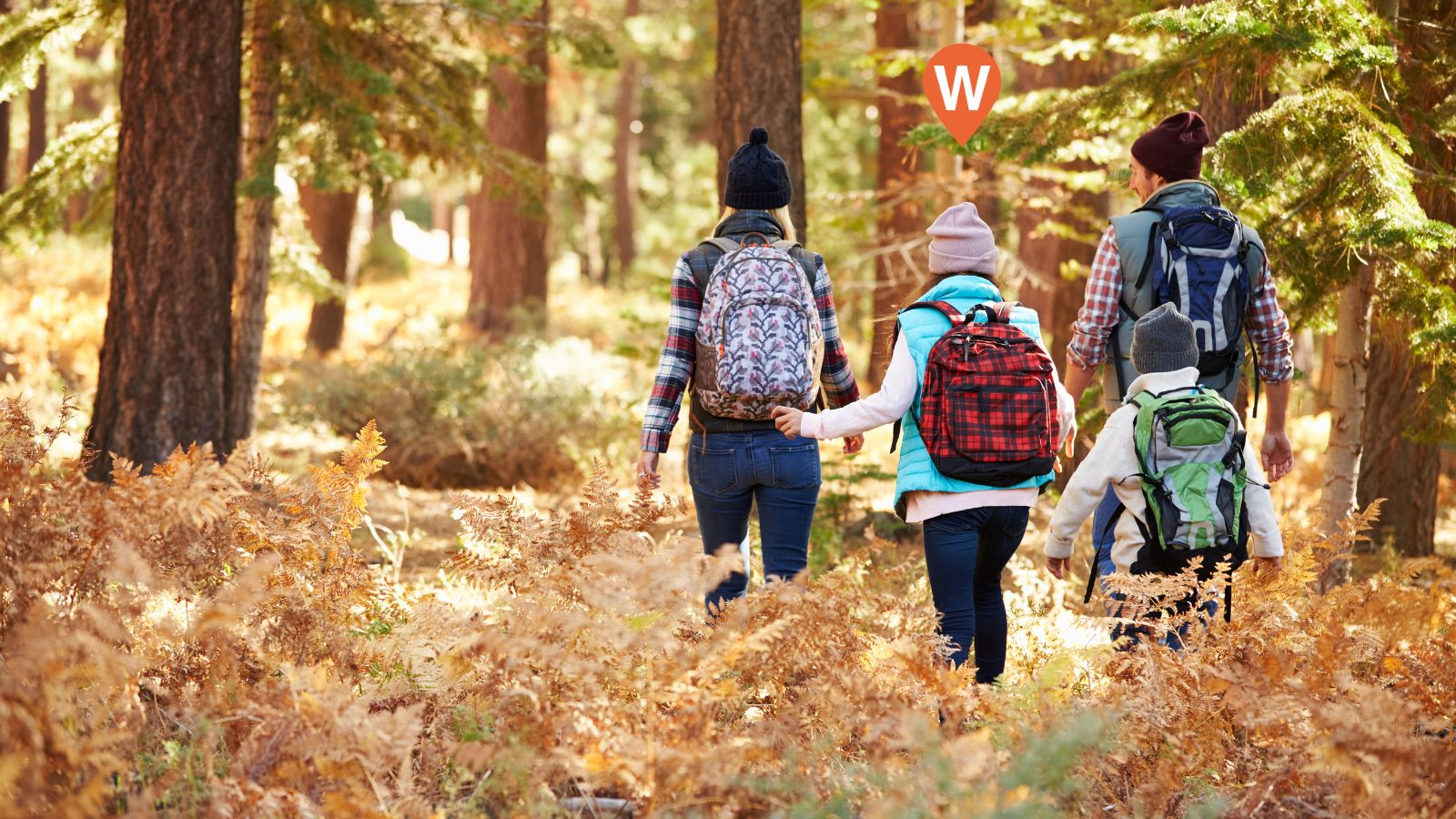 Why WhereSafe GPS Tracking is the Perfect Black Friday Deal
