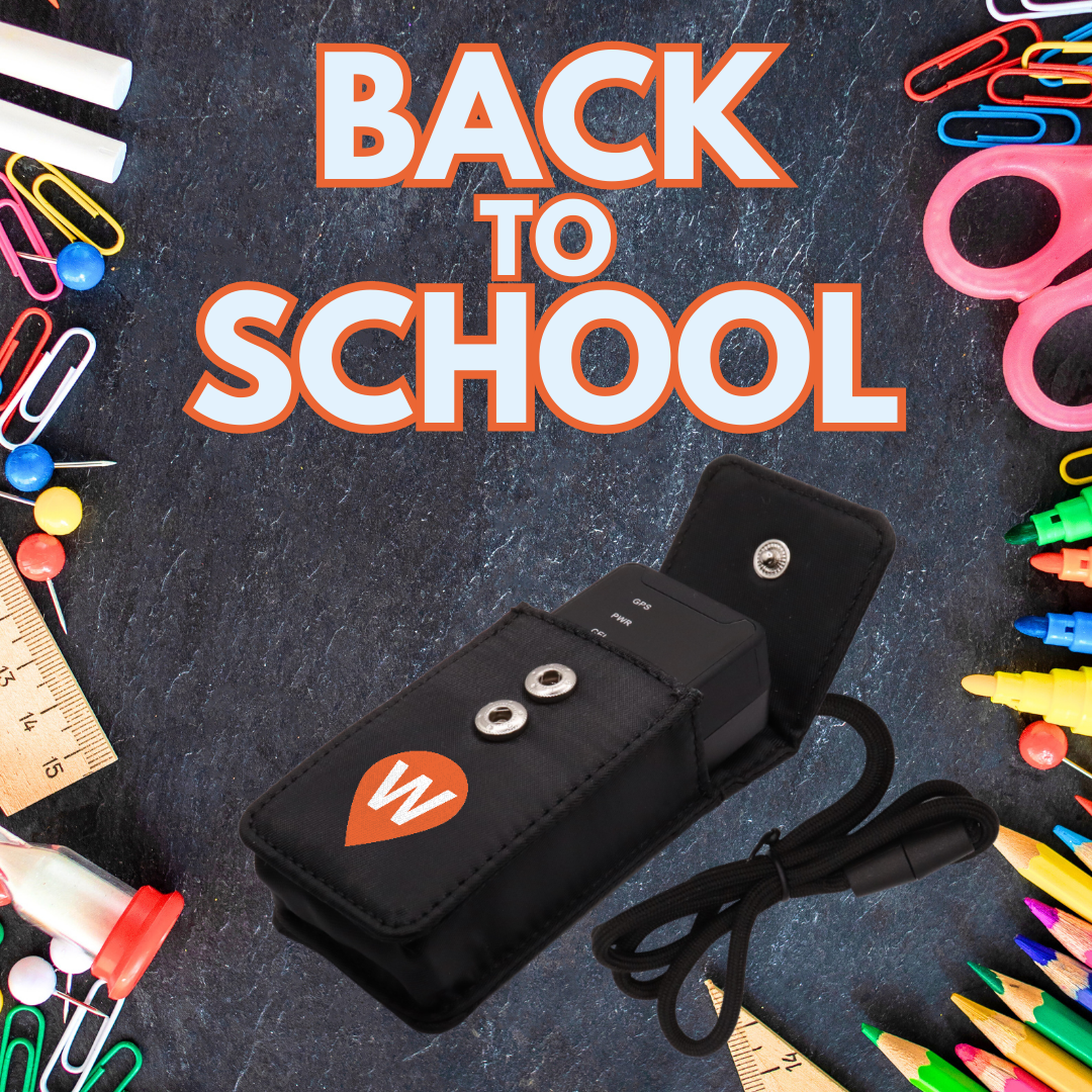 Back to school Bundle