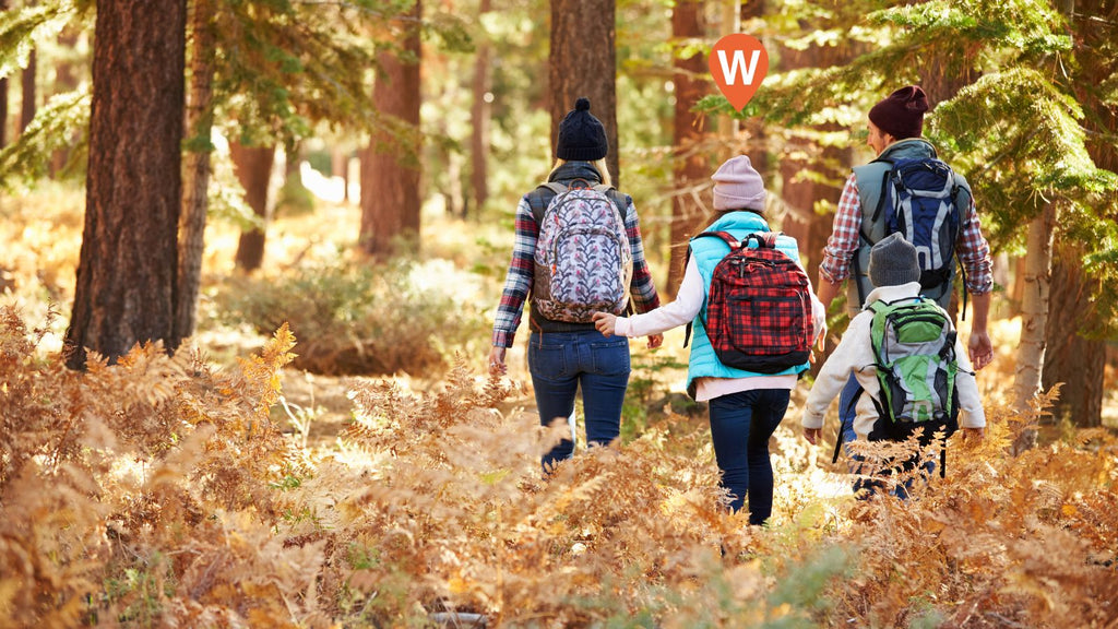 Why WhereSafe GPS Tracking is the Perfect Black Friday Deal