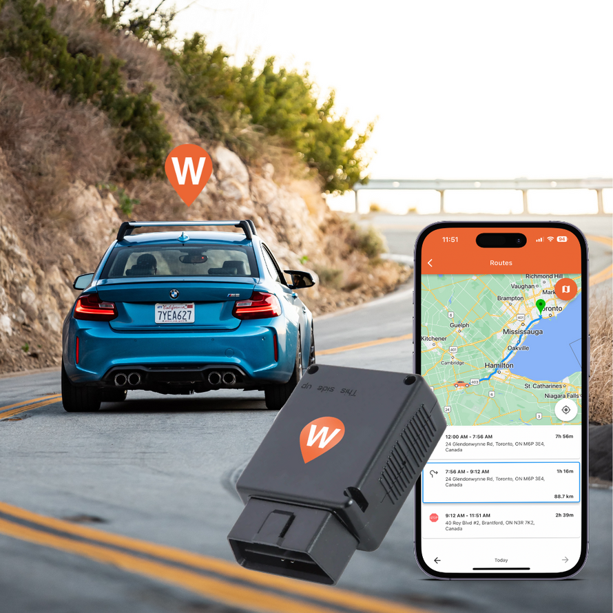 A WhereSafe OBDII GPS tracker, with a smartphone showing the real-time location on a map in the WhereSafe app, with a blue car driving on a road with a WhereSafe logo above it.