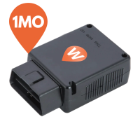 WhereSafe OBD II GPS Tracker - 1 month rental