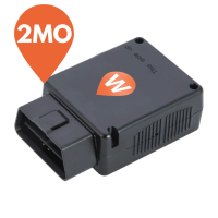 WhereSafe OBD II GPS Tracker - 2 month rental