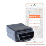 OBD Plug-In (Rental) 1 Day